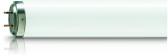 Produktserie Philips Actinic BL TL(-K)/TL-D(-K)