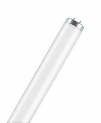 Sonstige Leuchtstofflampen