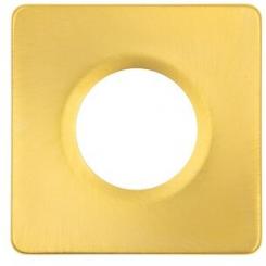 Dotlux Zierring für MULTISCREW eckig gold gebürstet 