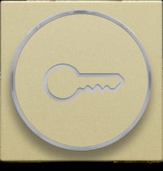 Niko  NIKO Pure Alu Gold - SET PUSH-B. 6A 'KEY' 