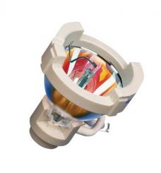 Osram Speziallampe HXP R120W/45C VIS 2x1 , NEAD: 69119 