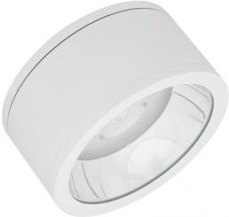 Ledvance  DL SURFACE DN250P45W83036DIP65WTEUE 