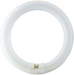 Philips Leuchtstofflampe TL-E 32W/840 / EEK: G 