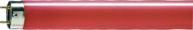 Philips Leuchtstofflampe TL-D Colored 18W Red / EEK: E 