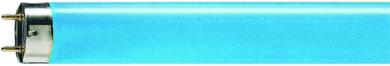 Philips Leuchtstofflampe TL-D Colored 58W Blue 