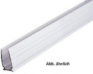 Rutec Profil PVC Profil VARDAflex Neon Top 2m schwarz 