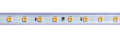Rutec  Flex.LED-Strip,200-240V 50/60Hz IP65 VARDAflex ECO AC 6000K 50M-Rolle / EEK: G 