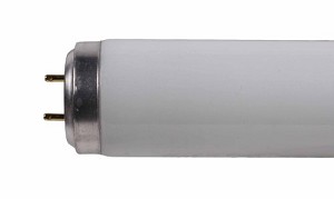 Sylvania F 40W T12 2FT 350 BL 590mm 